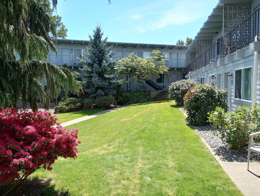 Cocusa Motel - photo 129