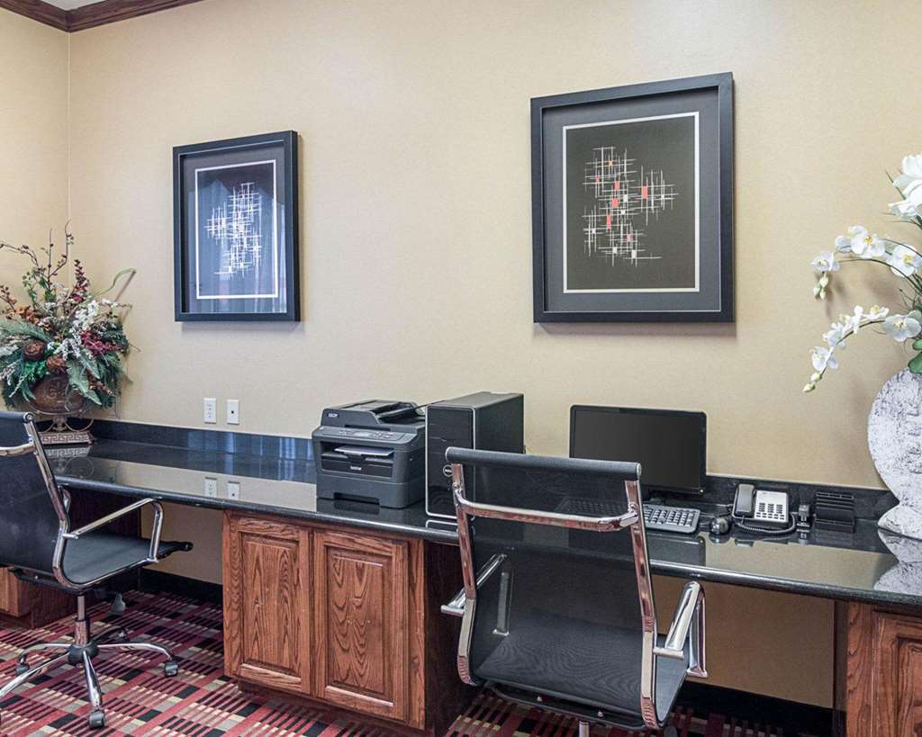 Comfort Inn & Suites Monahans I 20 - photo 24