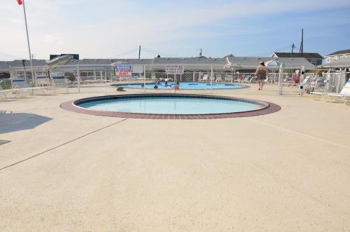 Cavalier by the Sea - photo 24