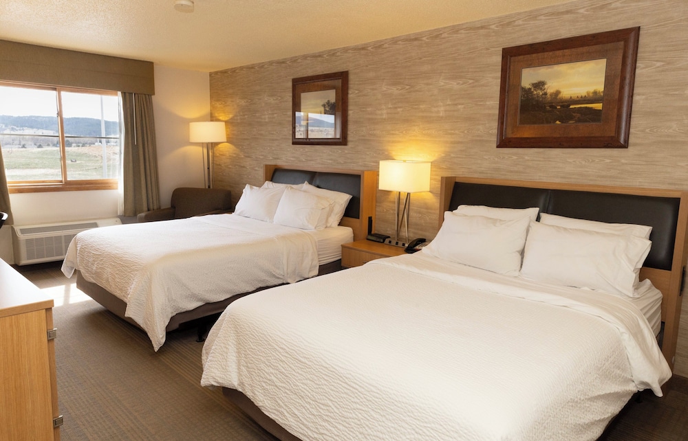 Holiday Inn Spearfish Convention Center by IHG - photo 10