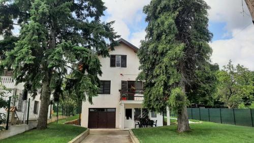 Green sanctuary 30 min from downtown Belgrade in Belgrade, Serbia