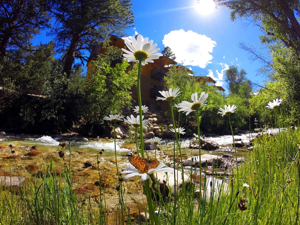 Mount Princeton Hot Springs Resort - photo 7