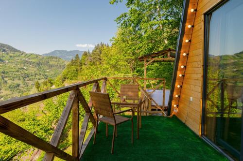 Forest House