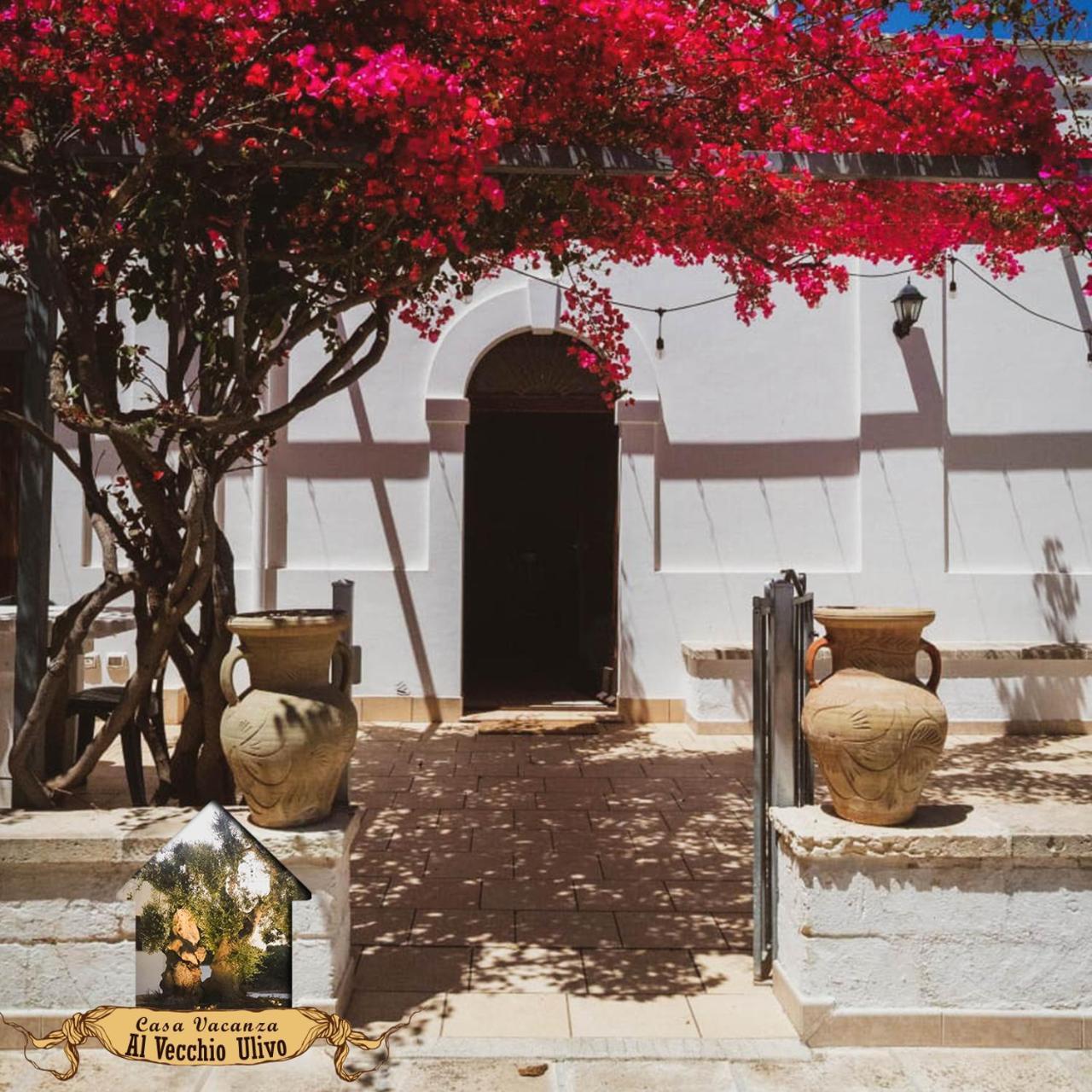 Al Vecchio Ulivo in Fasano, Italy