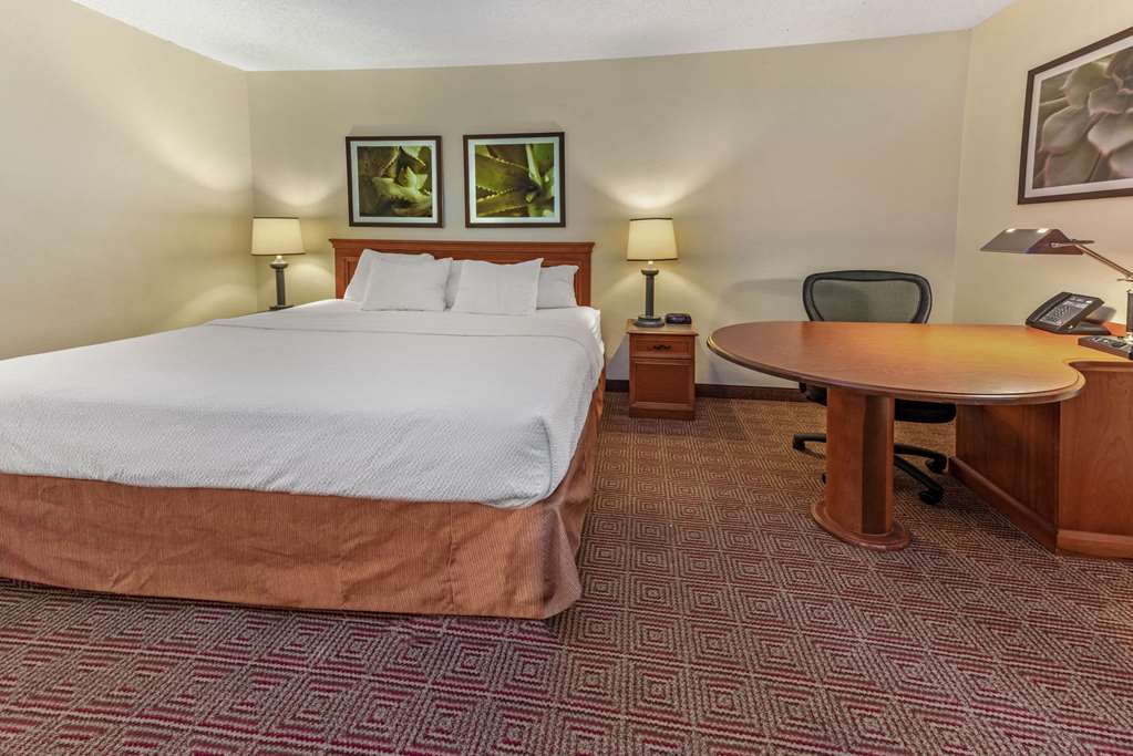 La Quinta Inn & Suites by Wyndham Tampa Brandon West - photo 23
