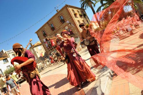 Kiwi — Canet-En-Roussillon — photo 2