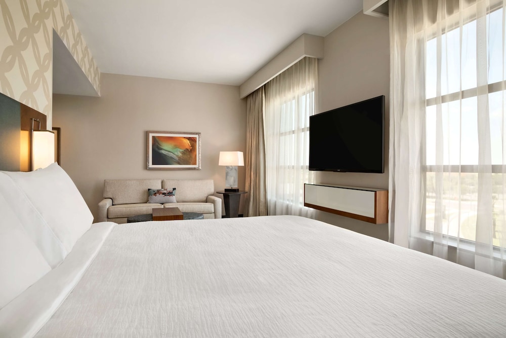Embassy Suites by Hilton McAllen Convention Center - photo 8