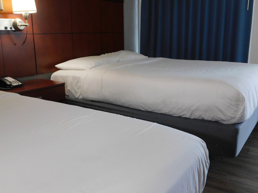 Park View Inn - photo 6