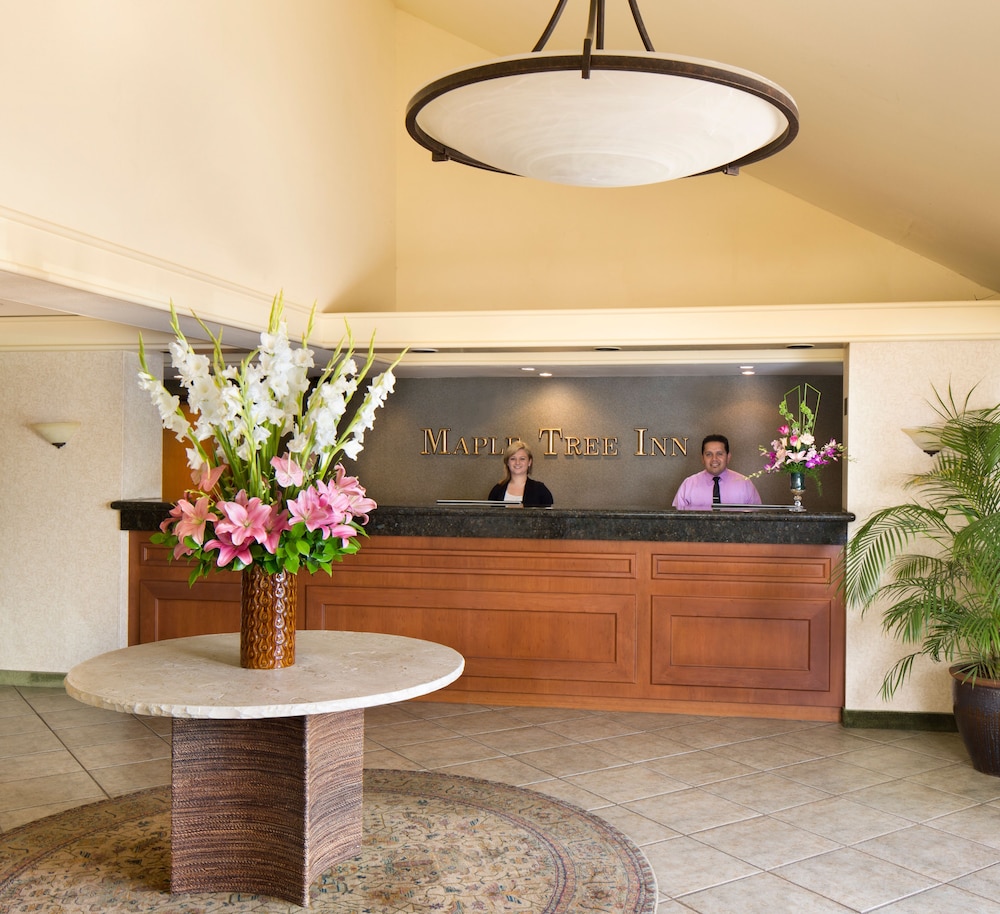 Maple Tree Inn - photo 2