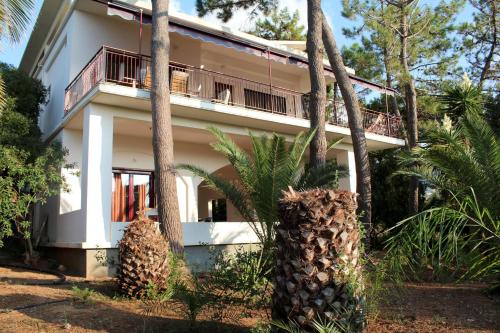 Matina 2 — 4-Star Luxury Hotel in Kyparissia, Greece