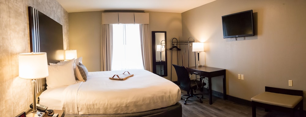 Distill Inn - photo 27