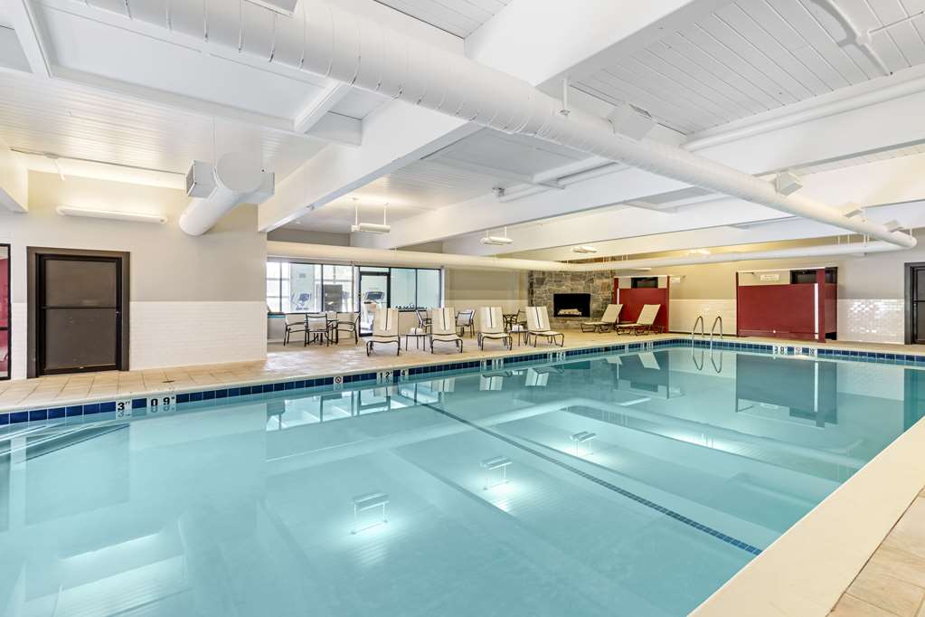 Best Western Springfield Hotel - photo 50