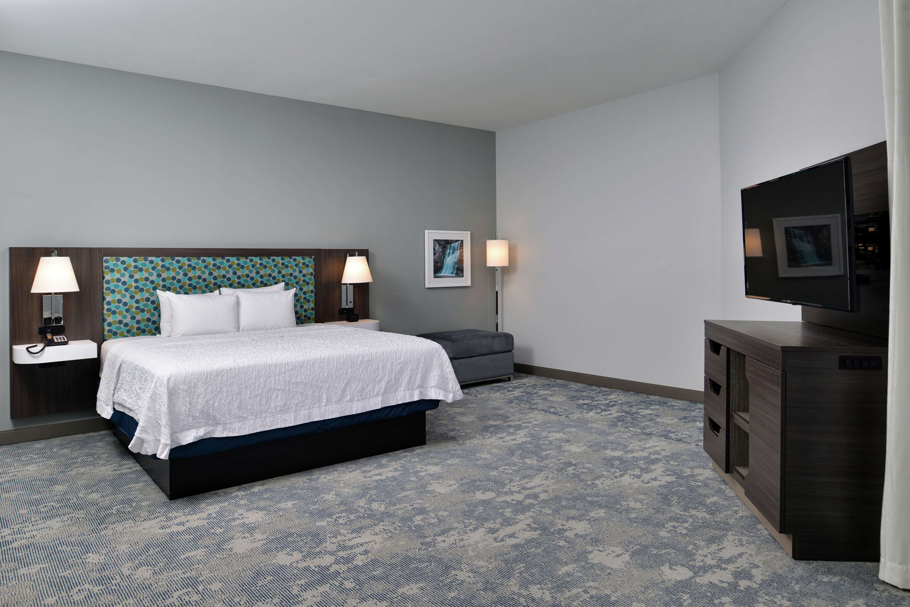 Hampton Inn Cedar Falls Downtown - photo 36