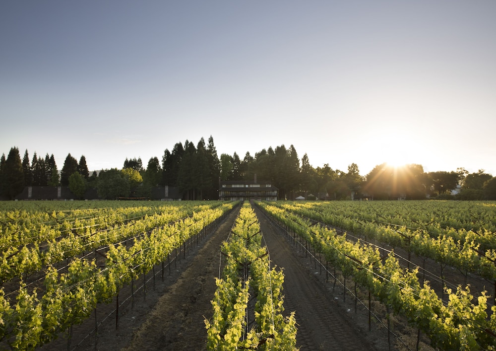 Harvest Inn - photo 4