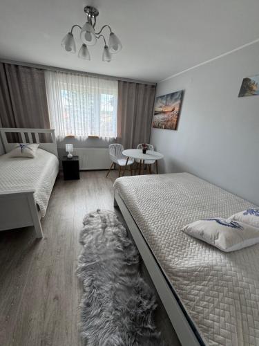 Apartament Kackowka in Gdynia, Poland