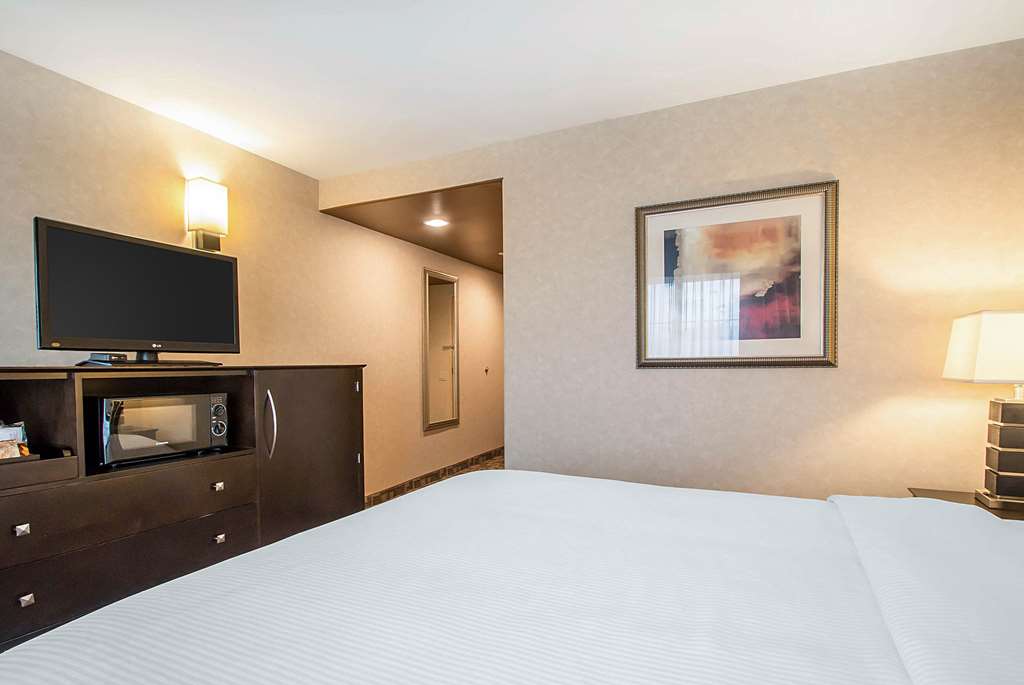 Clarion Inn Elmhurst Oak Brook near I 88 I 290 I 294 - photo 11
