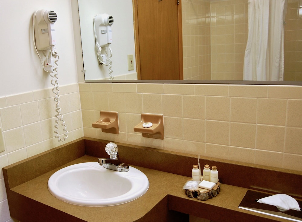 T Bird Motor Inn - photo 31