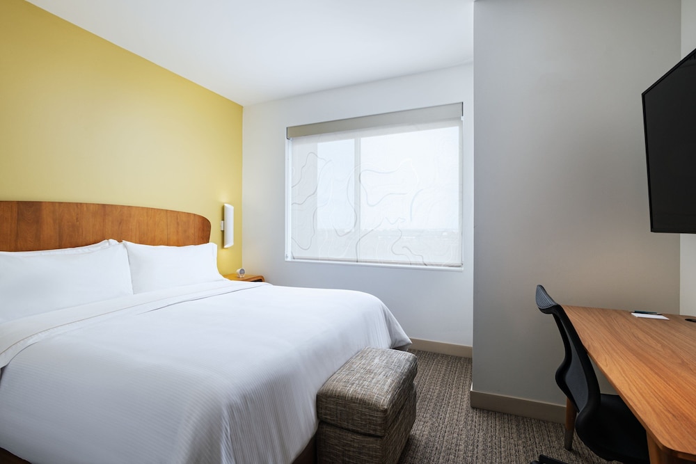 Element Dallas Las Colinas - photo 5