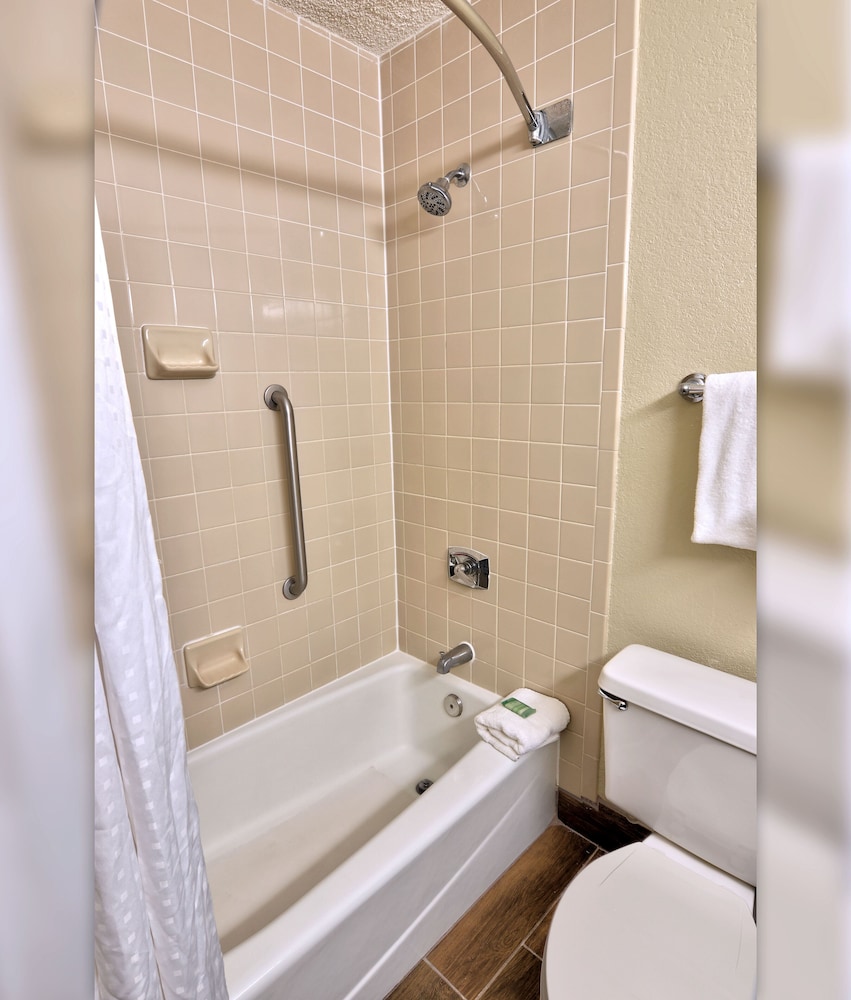 Holiday Inn St Petersburg N Clearwater by IHG - photo 23