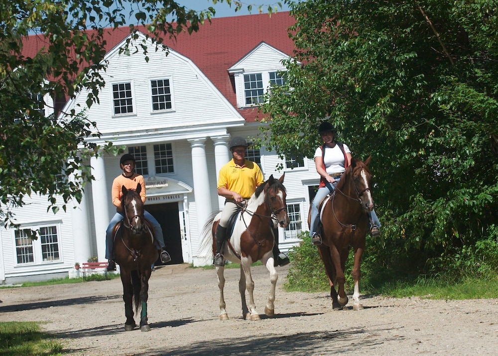 Omni Mount Washington Resort & Spa - photo 99