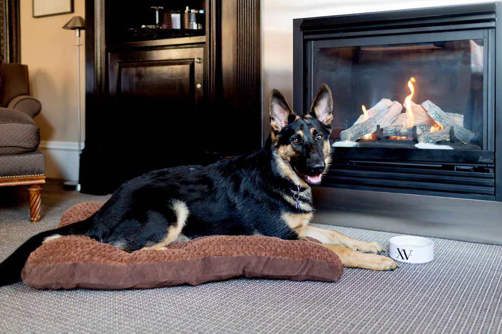 Fifteen Beacon - photo 42