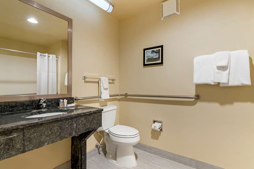 Comfort Inn Mechanicsburg Harrisburg South - photo 8