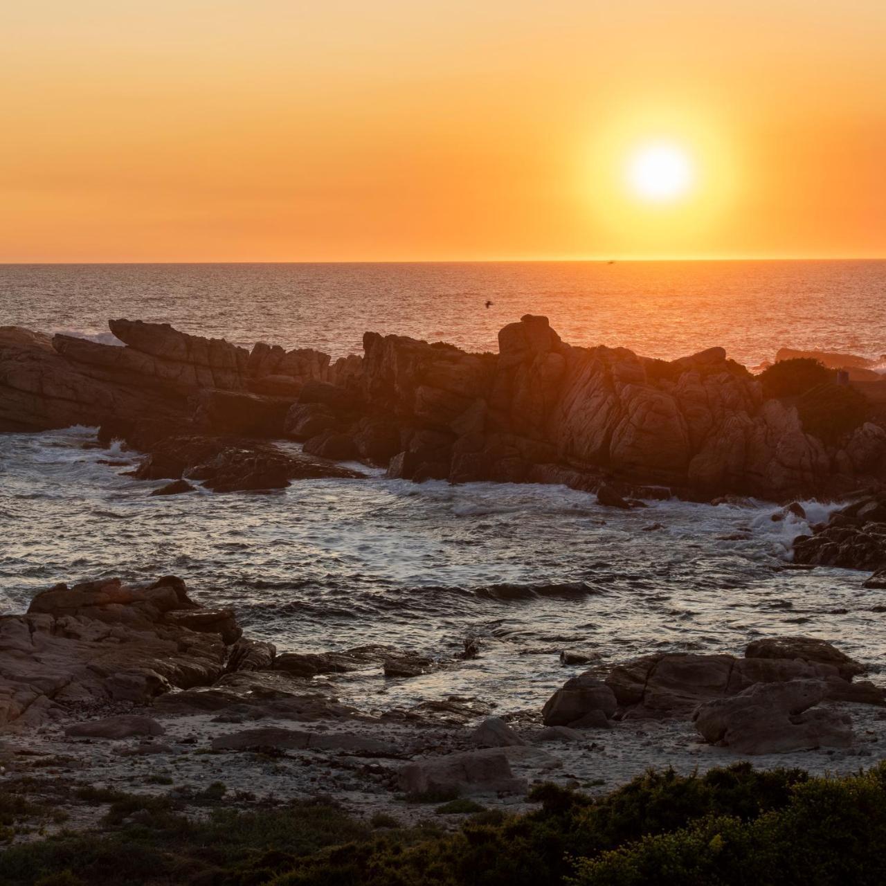 Albatross Accommodation — 4-Star Luxury Hotel in Lambertʼs Bay, South Africa