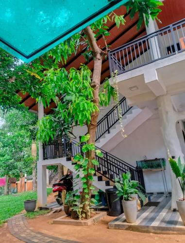 Yala Queens Resort - carbon neutral hotel in Unknown City