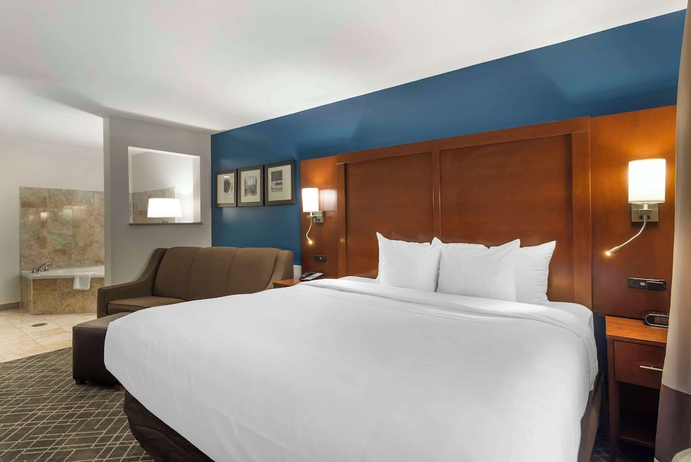 Comfort Suites Atlanta Airport - photo 14