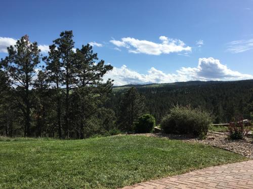 Priceless Black Hills View - photo 16