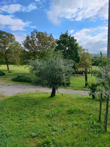 Villa Giulia Fashion B&B — Strada — photo 4