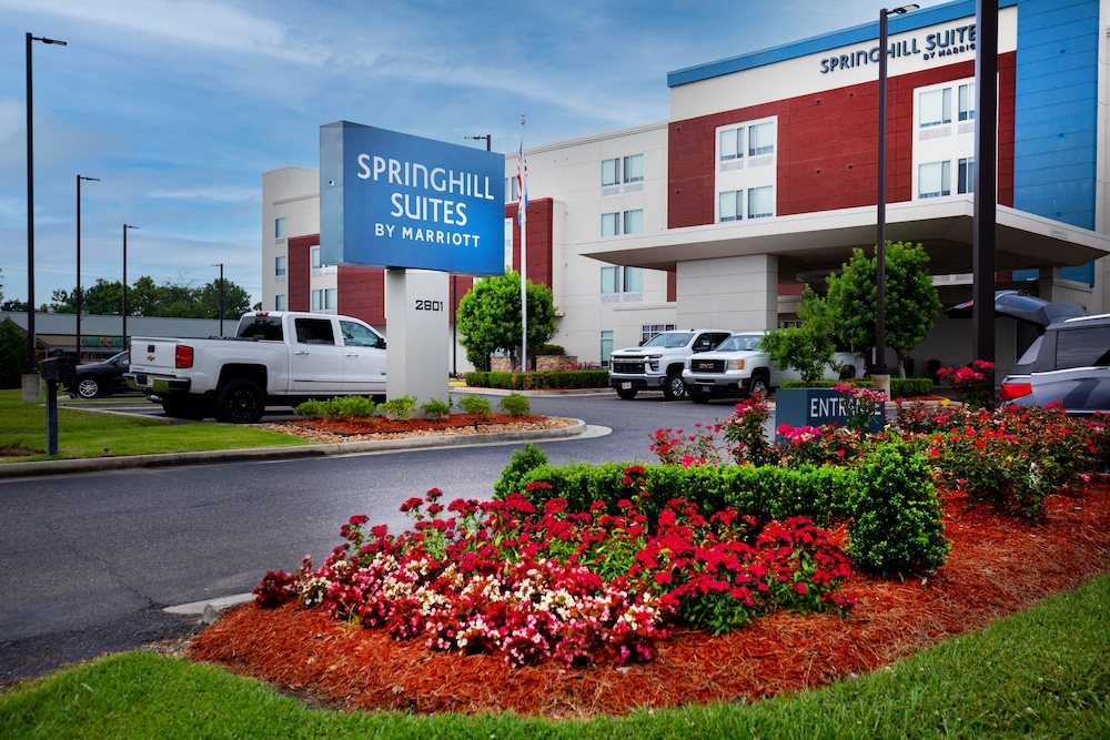 SpringHill Suites by Marriott Baton Rouge Gonzales - photo 39