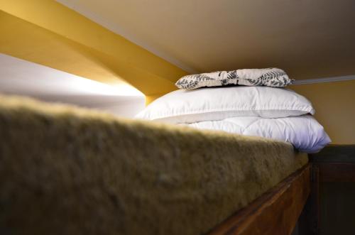 Forest in Pylypets, Ukraine