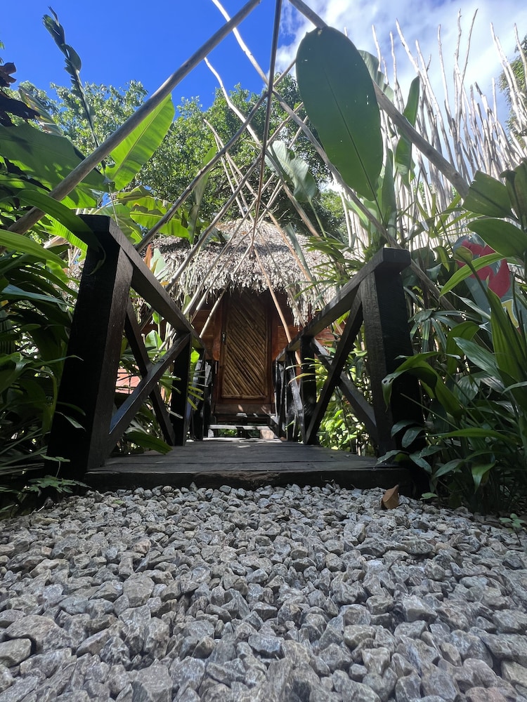 Sámana tropical - last minute hotel in Samana