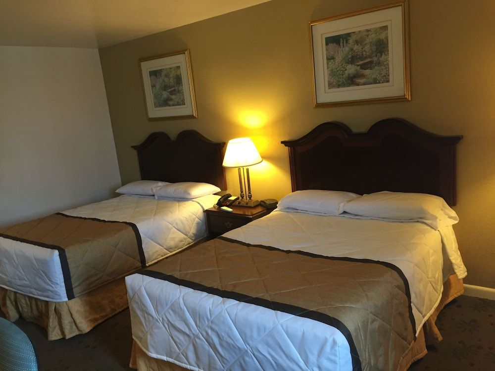 Travelodge by Wyndham Lynchburg - photo 16