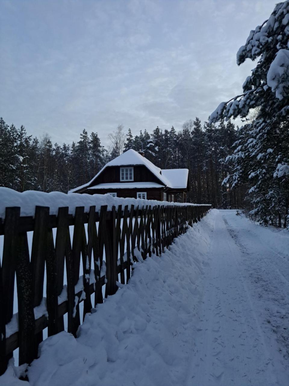 Sosnowy Domek in Harasiuki, Poland