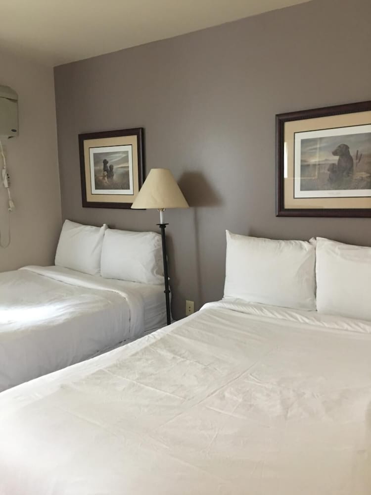 All Suites Inn Budget Host - photo 8