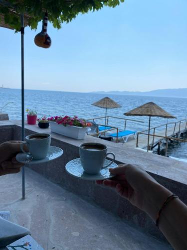 Ogretmenin Yeri - last minute hotel in Ayvacik