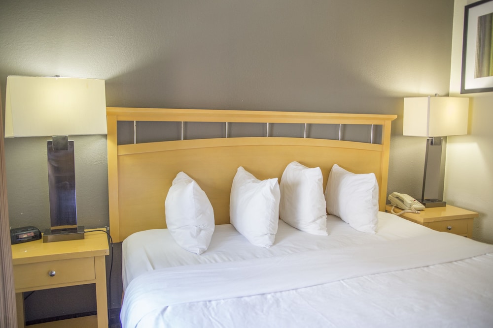 Hudson River Hotel - photo 11