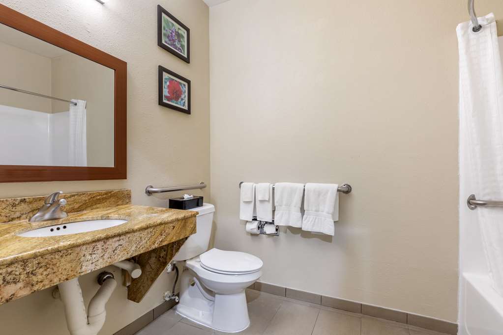Comfort Inn & Suites Temple Medical Center - photo 9