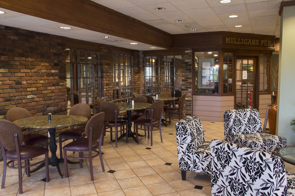 Lamplighter Inn & Suites North - photo 4