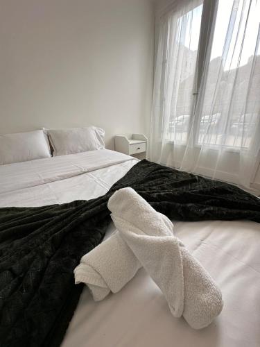 L Elegant Centrale — Saint Etienne