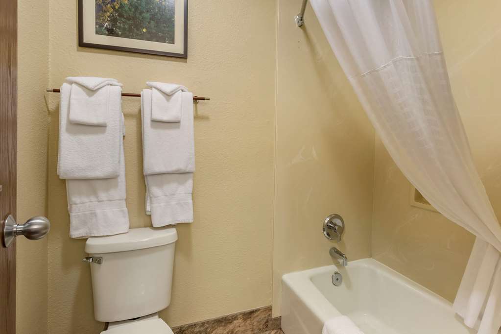 Comfort Inn Flagstaff South I 17 - photo 22