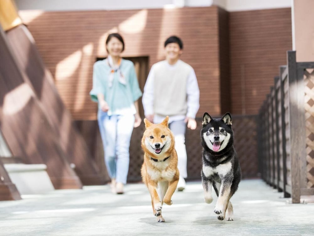 Wan Wan Paradise Izukogen — hotel in Ito
