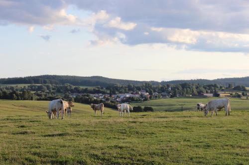 Čtyři pokoje — hotel in Tachov