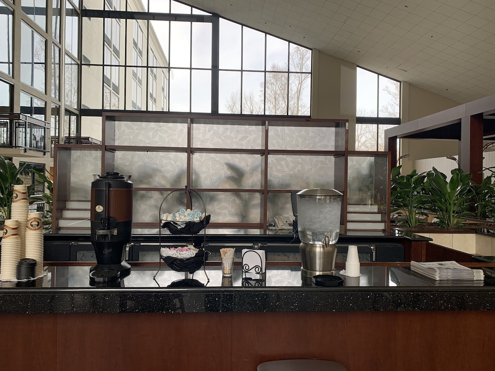 Holiday Inn Asheville Biltmore by IHG - photo 38