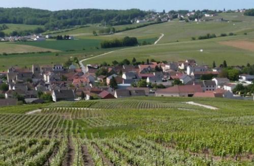 La Longere de Vin'ay — hotel in Vinay