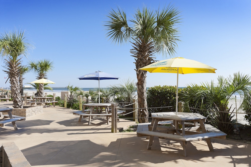 Sands Ocean Club Resort - photo 37