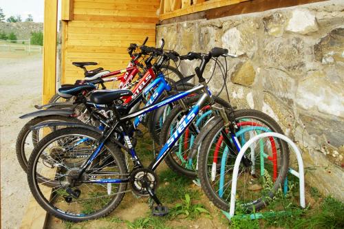 Chara in Khuzhir, Russia