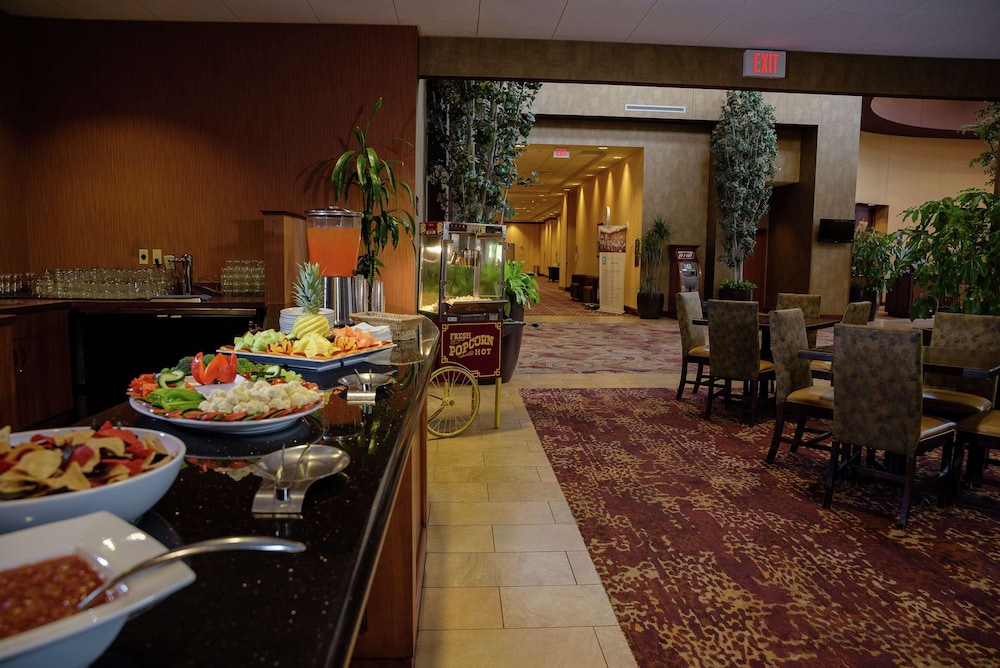 Embassy Suites by Hilton Minneapolis North - photo 44